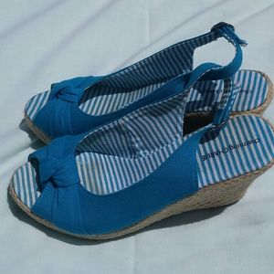 Blue Wedges